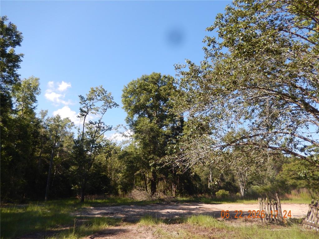 A dirt clearing is surrounded by dense trees under a clear blue sky — 761 SW SUNVIEW STREET, FORT WHITE, FL