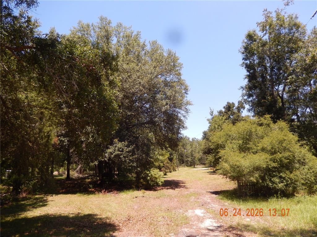 A dirt path leads through a grassy, wooded lot under a clear blue sky — 761 SW SUNVIEW STREET, FORT WHITE, FL