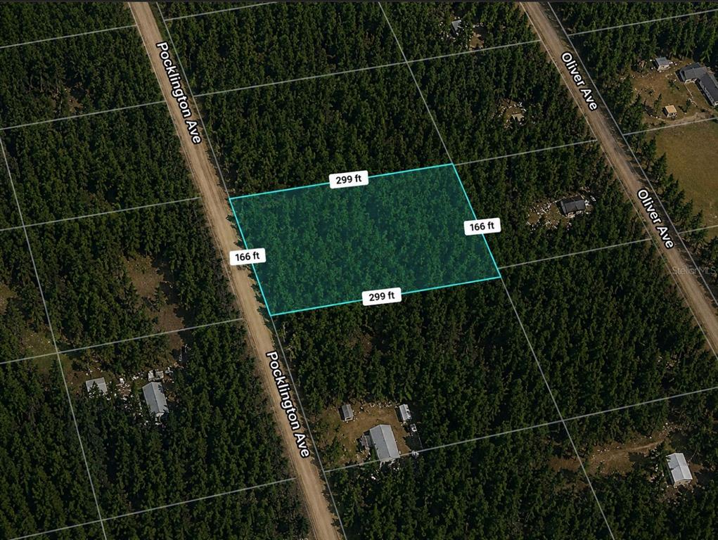 An aerial map view shows a rectangular plot of land outlined in blue between two roads — 9740 POCKLINGTON AVENUE, HASTINGS, FL