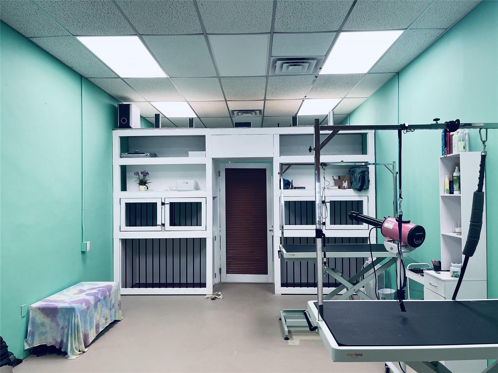 A pet grooming room with mint green walls, built-in kennels, and a professional grooming table — 1135 US Highway 1, Vero Beach FL 32960, VERO BEACH, FL