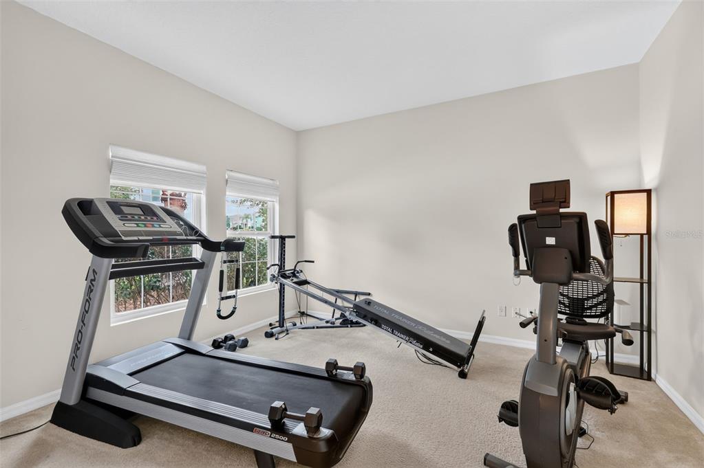 A home gym with a treadmill, stationary bike, and incline bench on carpeted flooring — 3115 ZANDER DRIVE, GRAND ISLAND, FL