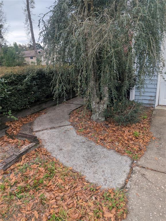 A concrete walkway curves past a large tree toward the side of a house — 10816 SW 83RD AVENUE, OCALA, FL