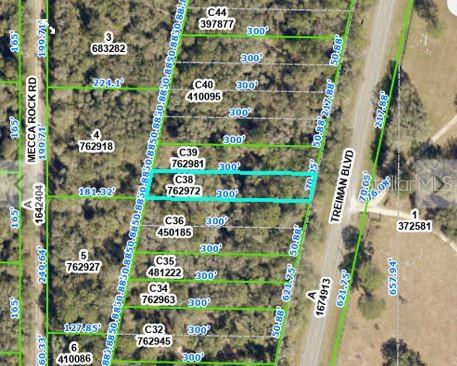 TREIMAN BOULEVARD, WEBSTER, FL — photo 2 of 6