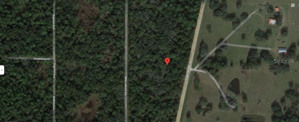 TREIMAN BOULEVARD, WEBSTER, FL — photo 4 of 6