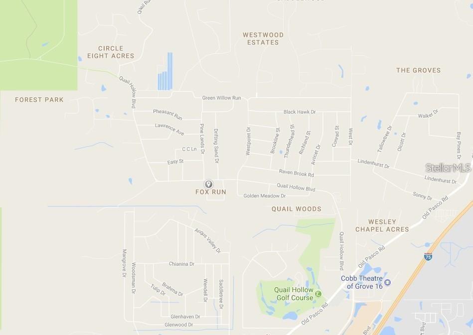 QUAIL HOLLOW BOULEVARD, WESLEY CHAPEL,, FL — photo 4 of 16