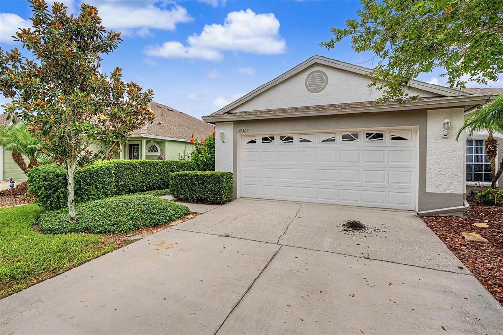 A single-story house with a white garage door, a concrete driveway, and manicured landscaping — 19309 WEYMOUTH DRIVE, LAND O LAKES, FL