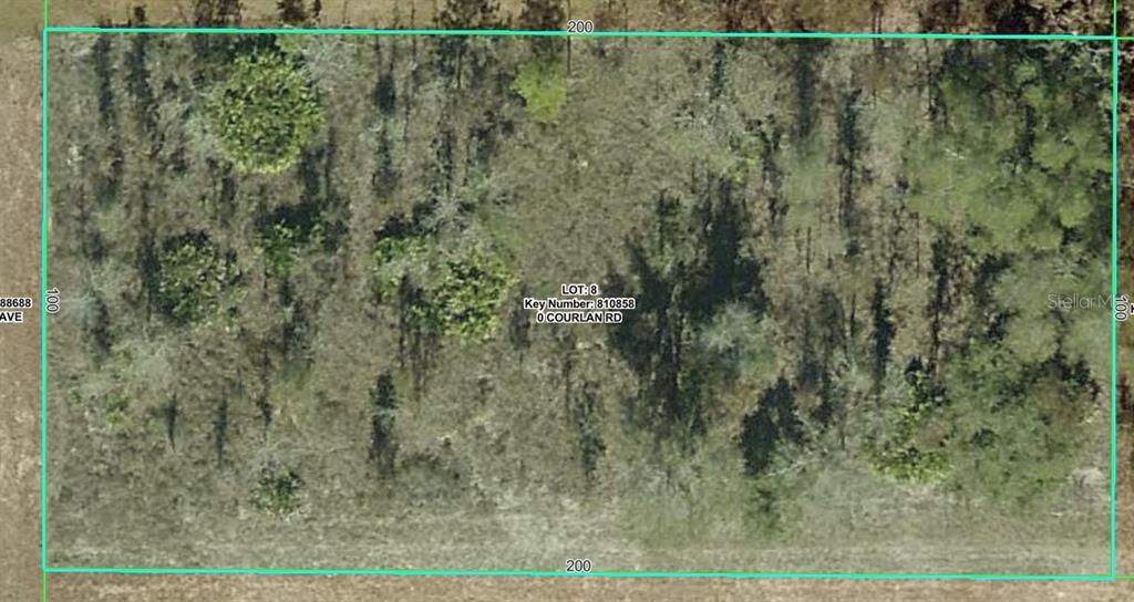 This is an aerial map of a rectangular, wooded vacant lot with dimensions of 200x100 — COURLAN ROAD, WEEKI WACHEE, FL