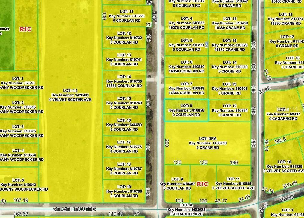 This image is a land parcel map showing various numbered lots with their key numbers — COURLAN ROAD, WEEKI WACHEE, FL