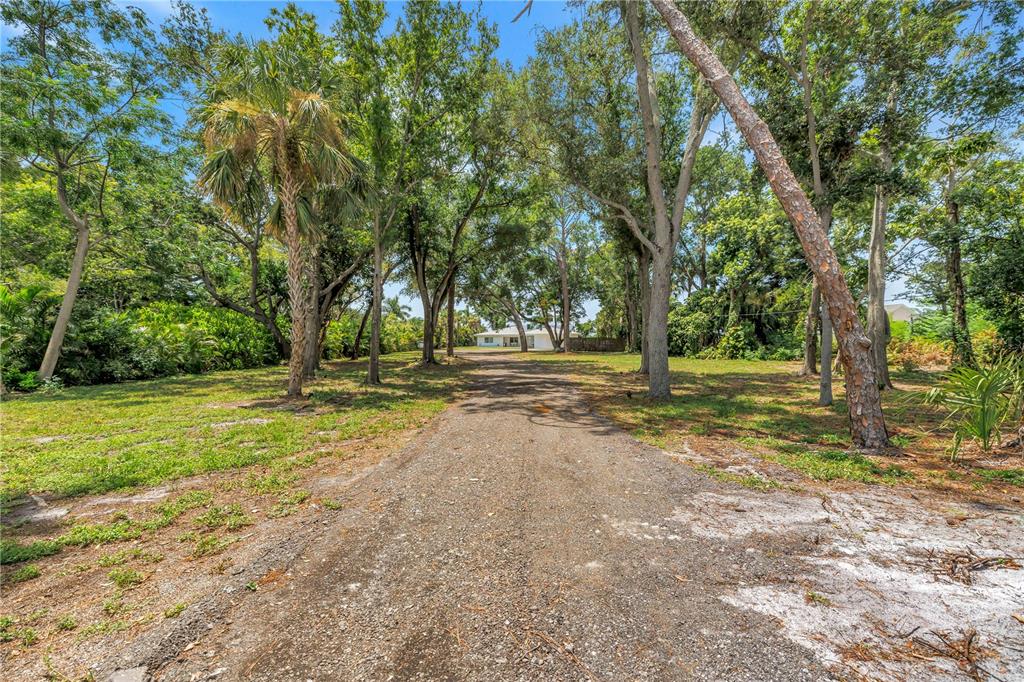 A gravel driveway leads through a wooded lot toward a white house in the distance — 2280 PINELLAS POINT DRIVE S, ST PETERSBURG, FL