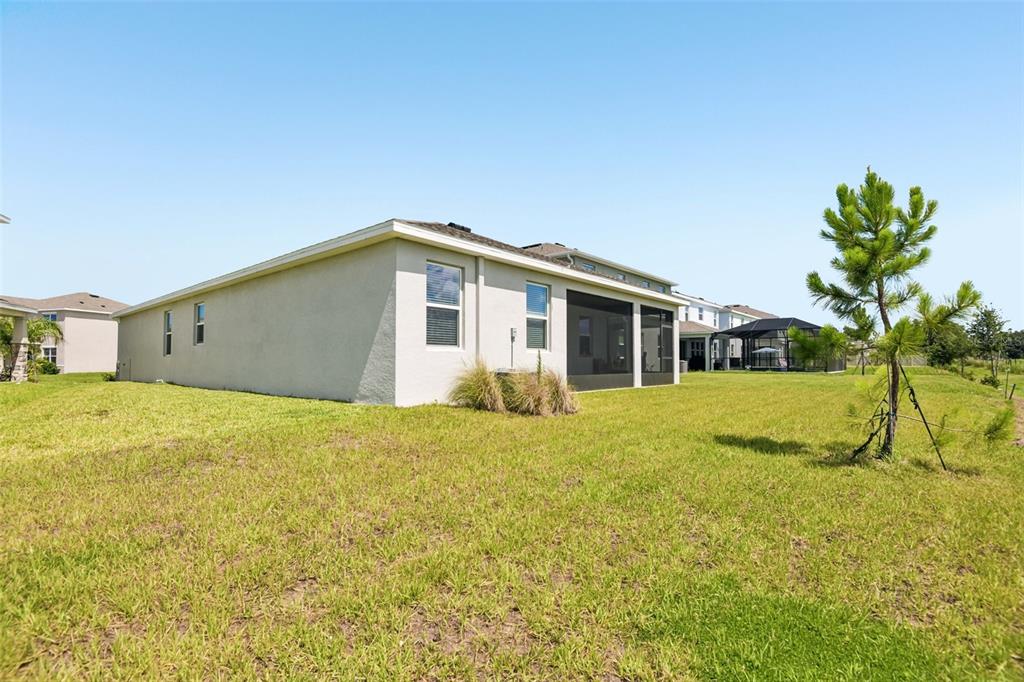 A beige house with a screened-in lanai sits on a large, grassy residential lot — 33508 DARLEY DALE TRAIL, WESLEY CHAPEL, FL
