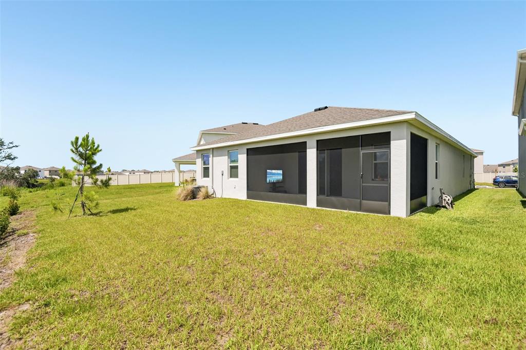 The exterior of a house features a screened-in back porch and a grassy yard — 33508 DARLEY DALE TRAIL, WESLEY CHAPEL, FL