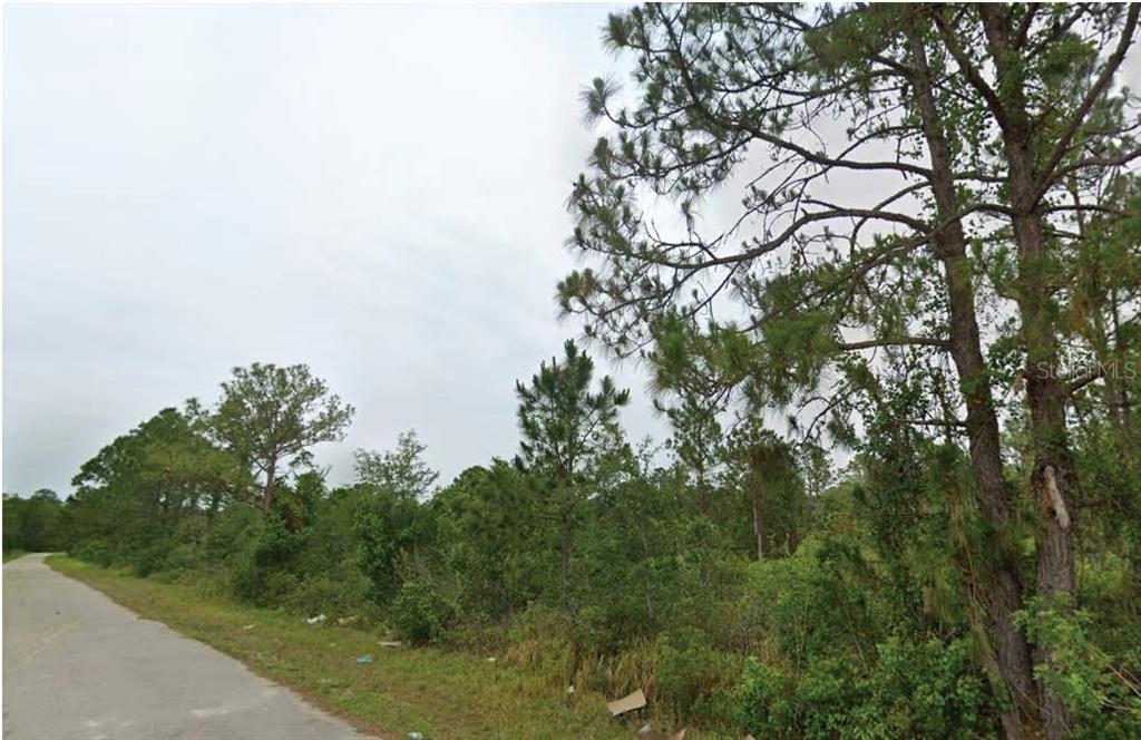 A paved road runs alongside a vacant, wooded lot filled with pine trees and brush — 7827 & 7839 MARIN + 7824 & 7836 LEONARDO STREET, SEBRING, FL