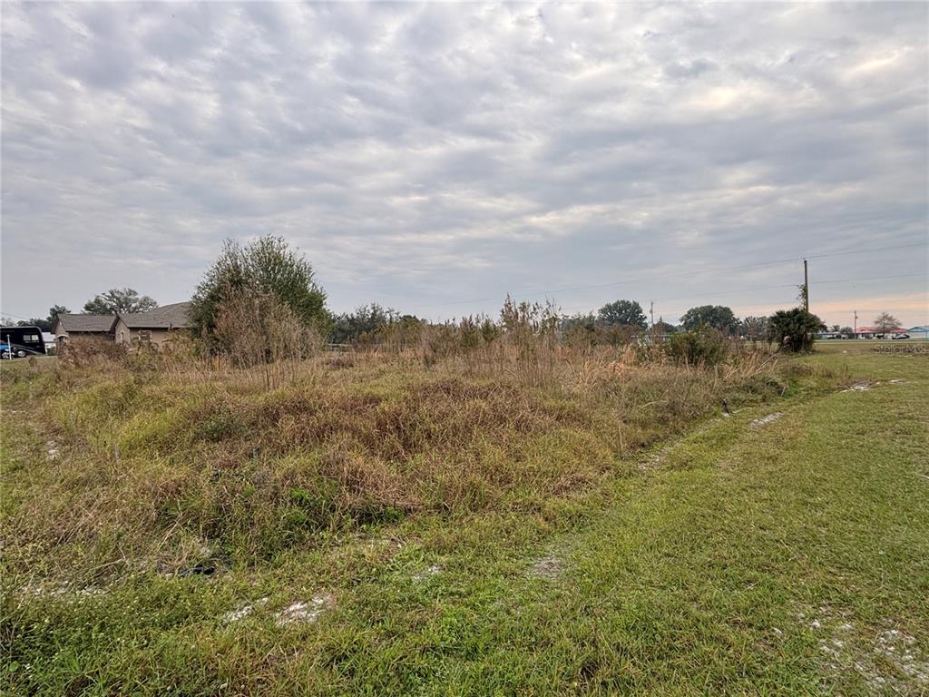 A vacant, grassy lot with overgrown vegetation under a cloudy sky — 31083 PEACE STREET, PUNTA GORDA, FL