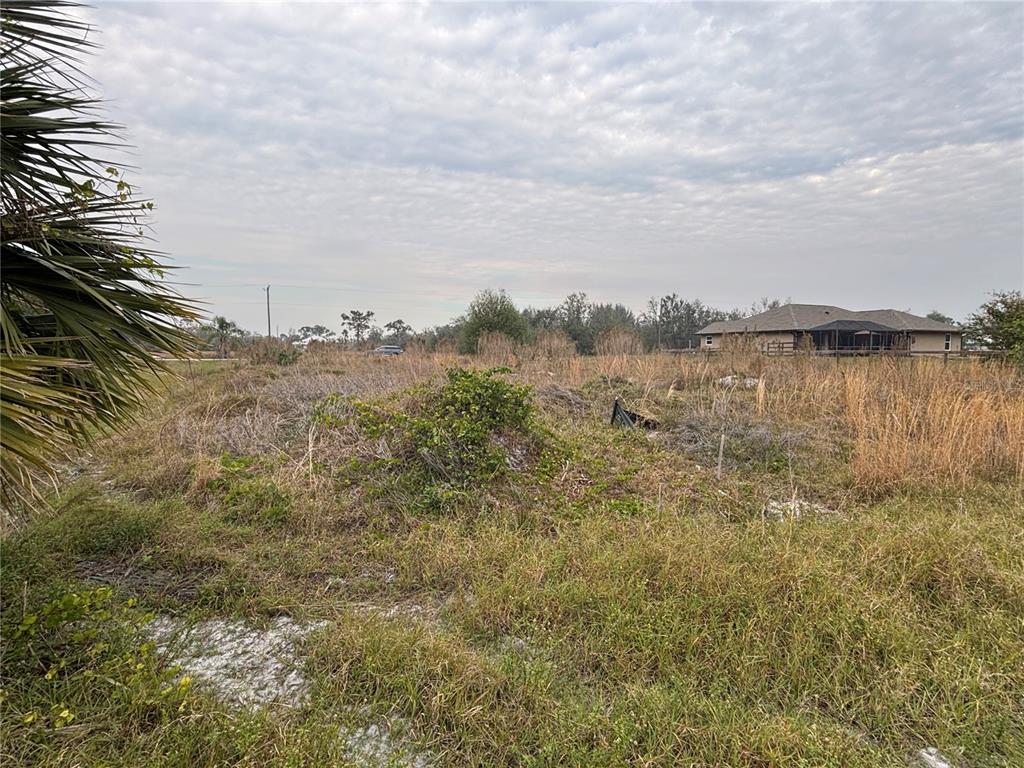 A vacant, grassy lot with scattered brush and a house visible in the distance — 31083 PEACE STREET, PUNTA GORDA, FL