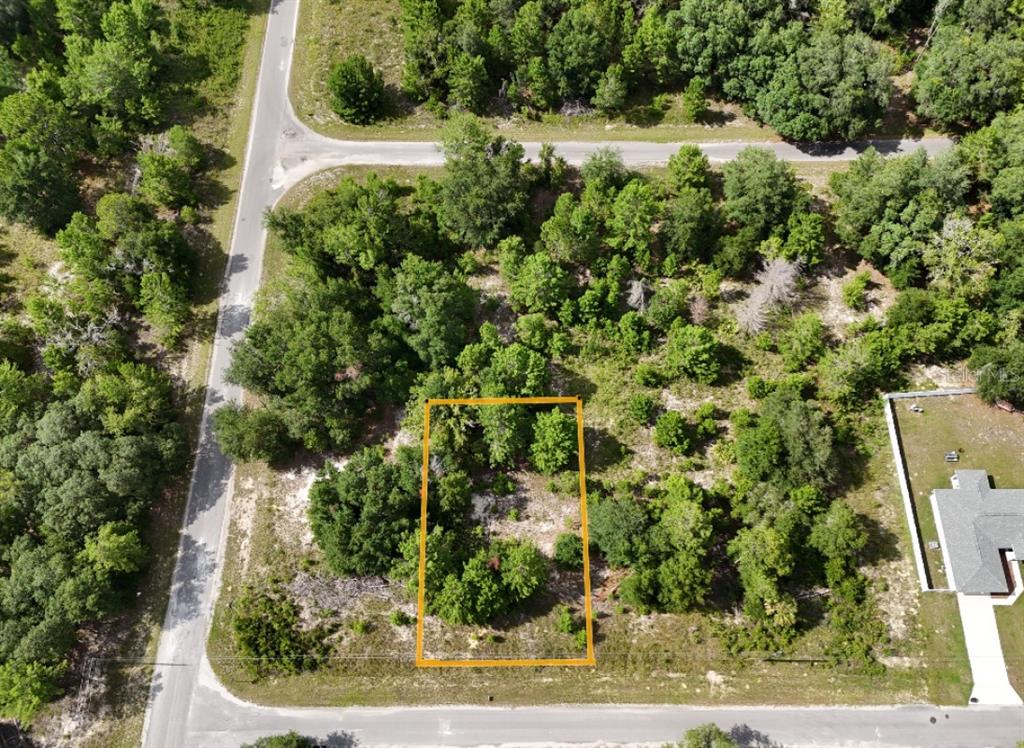 An aerial view shows a rectangular vacant lot outlined in orange within a wooded area — MALAUKA RADIAL, OCKLAWAHA, FL
