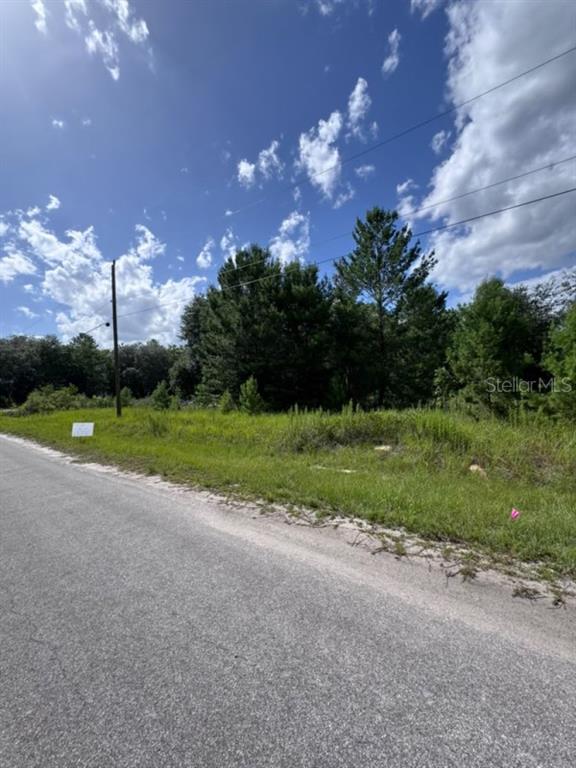 A grassy, undeveloped lot sits beside a paved road under a blue, cloudy sky — MALAUKA RADIAL, OCKLAWAHA, FL