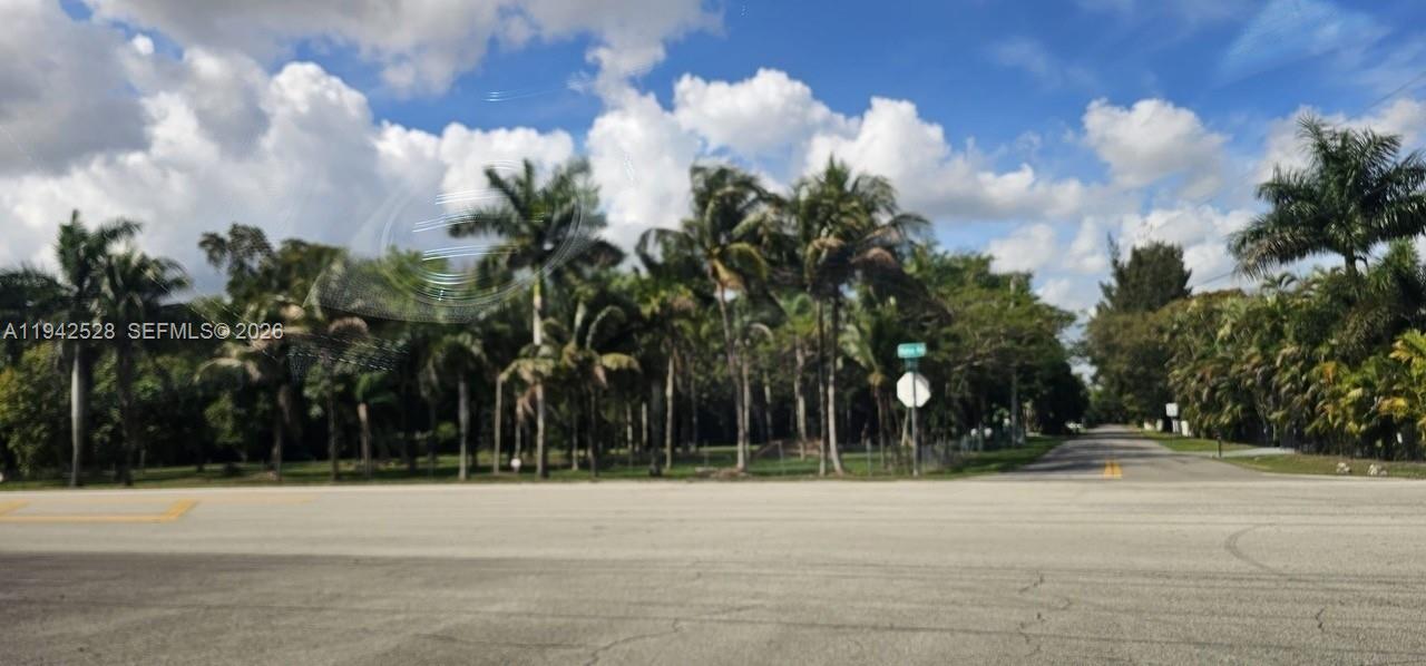 A paved road runs alongside a wooded area filled with tall palm trees — 1615 Hiatus Rd, Davie FL 33325, DAVIE, FL