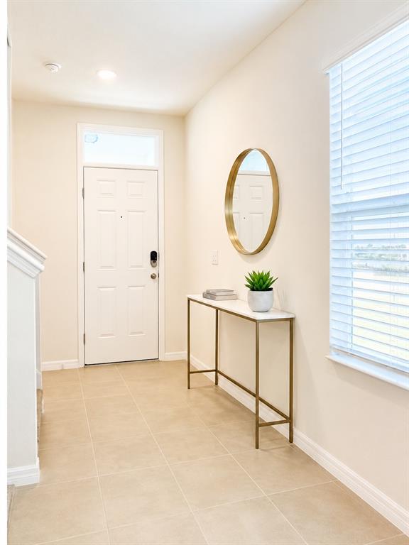 A bright entryway features a white door, a gold-framed mirror, and a slim console table — 32649 PEZ LANDING LANE, WESLEY CHAPEL, FL