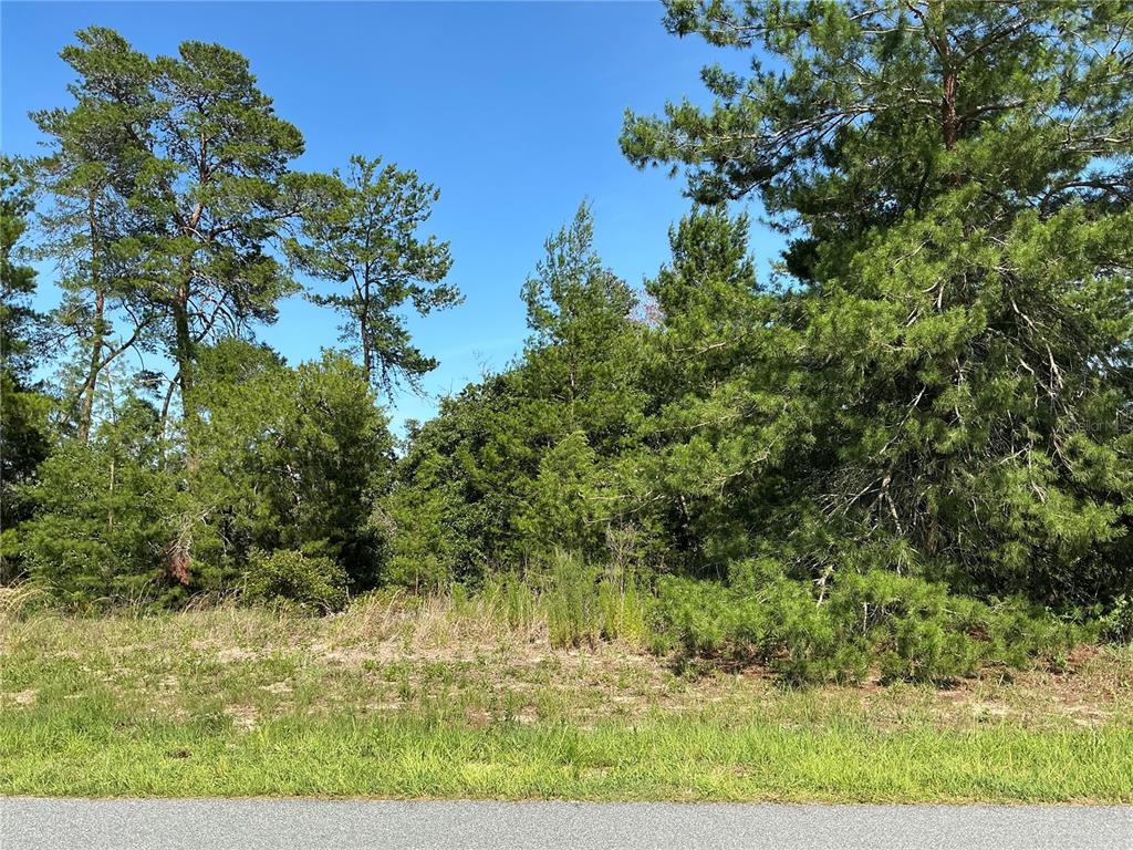 TBD SW 35TH AVENUE ROAD