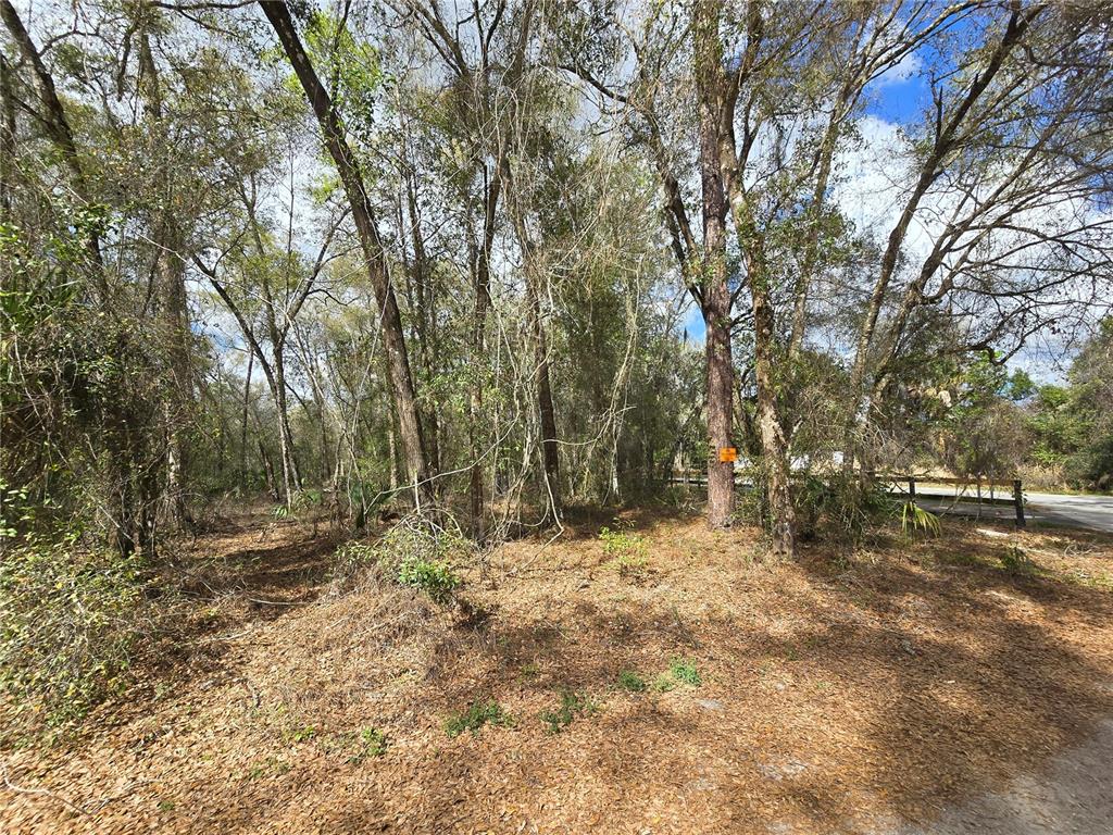 BRIGHT WAY, DELAND, FL — photo 2 of 16