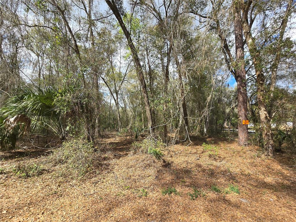 BRIGHT WAY, DELAND, FL — photo 3 of 16