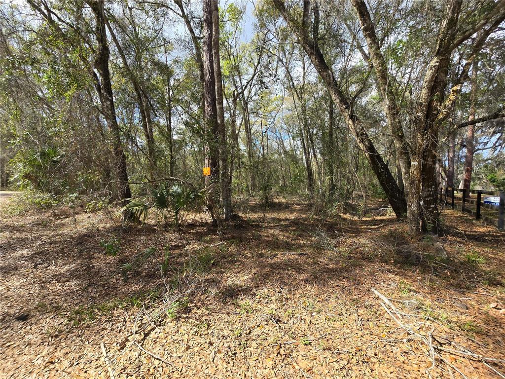 BRIGHT WAY, DELAND, FL — photo 4 of 16