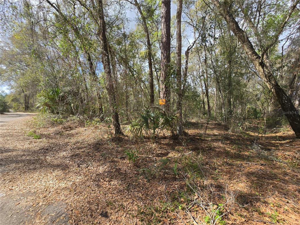 BRIGHT WAY, DELAND, FL — photo 5 of 16
