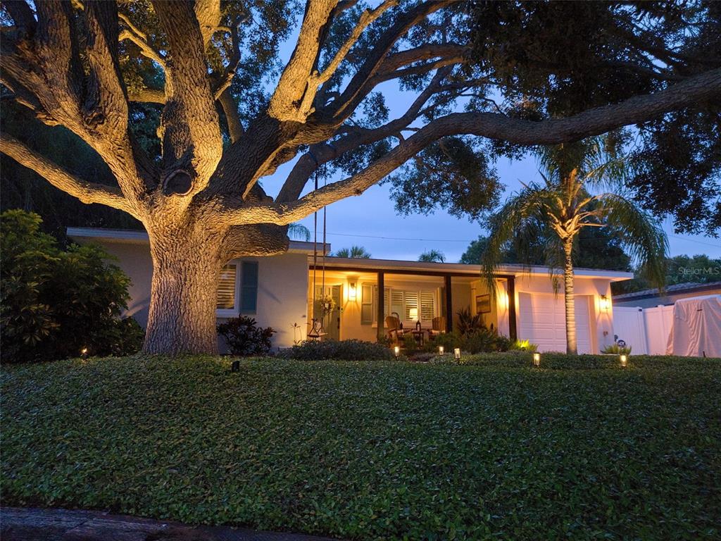 A single-story house at dusk features a large illuminated oak tree and a front porch — 128 EDGEWATER TERRACE, DUNEDIN, FL