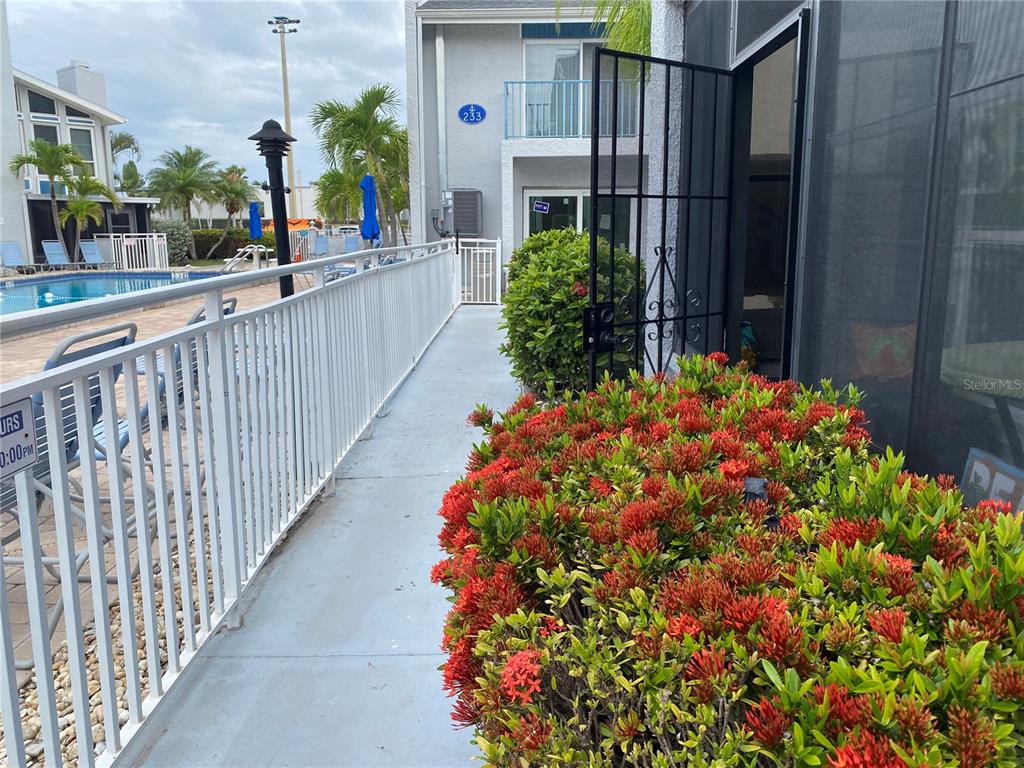 A walkway leads past a red-flowered bush toward a building entrance near a swimming pool — 230 MEDALLION BOULEVARD UNIT D, MADEIRA BEACH, FL