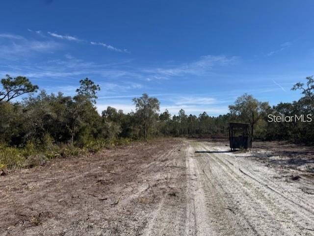 A dirt path leads through a cleared, sandy lot with trees and a small structure — TBD NE 150TH AVE ROAD LOT 5, FORT MC COY, FL