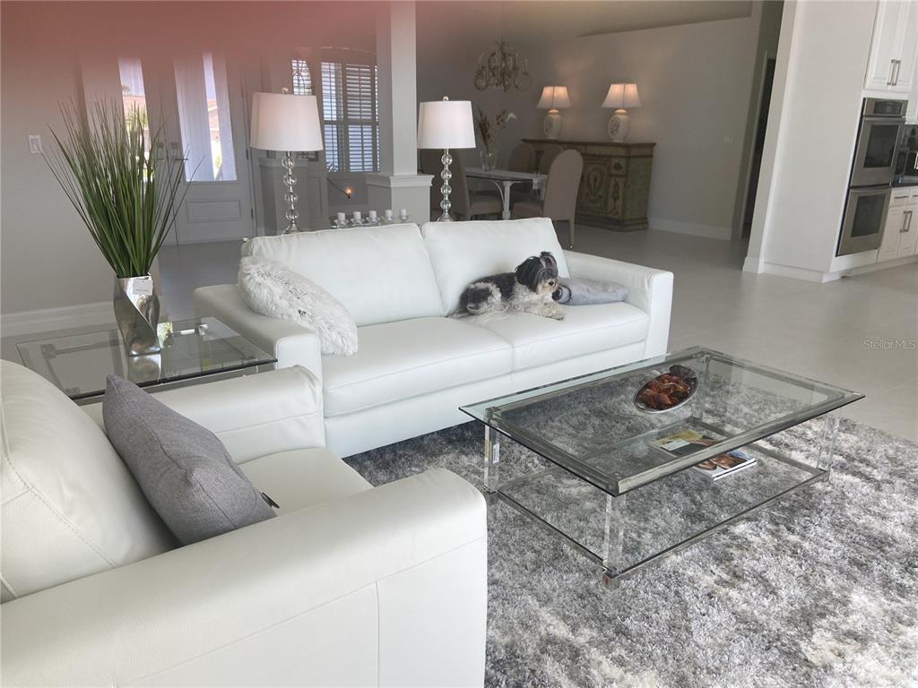 A white living room features a glass coffee table, white sofas, and a small dog — 3840 RUDDER WAY, NEW PORT RICHEY, FL