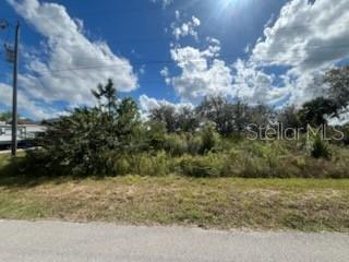 A vacant, overgrown lot with a utility pole stands next to a paved road — 1928 VESPER COURT, LEHIGH ACRES, FL