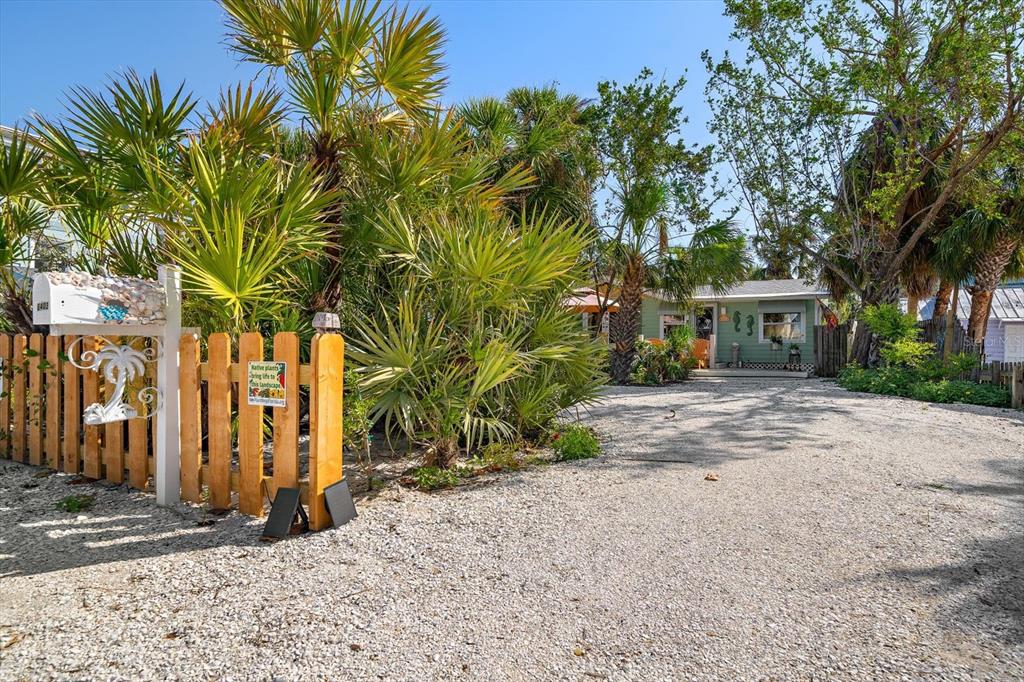 A gravel driveway leads to a small house surrounded by palm trees and a wooden fence — 8403 W GULF BOULEVARD, TREASURE ISLAND, FL