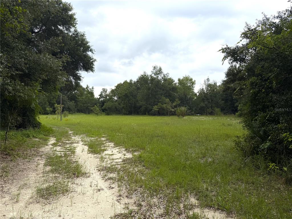 A grassy, open lot is bordered by trees and features a sandy path — 3255 GOLDEN GEM ROAD, APOPKA, FL