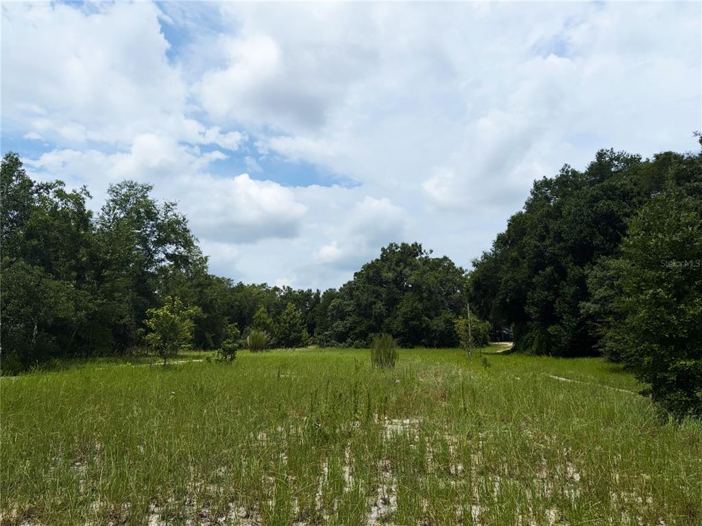 A grassy, open lot is surrounded by dense trees under a cloudy sky — 3255 GOLDEN GEM ROAD, APOPKA, FL