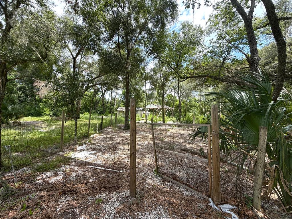 A wire fence with a gate encloses a wooded lot with a small structure — 3255 GOLDEN GEM ROAD, APOPKA, FL