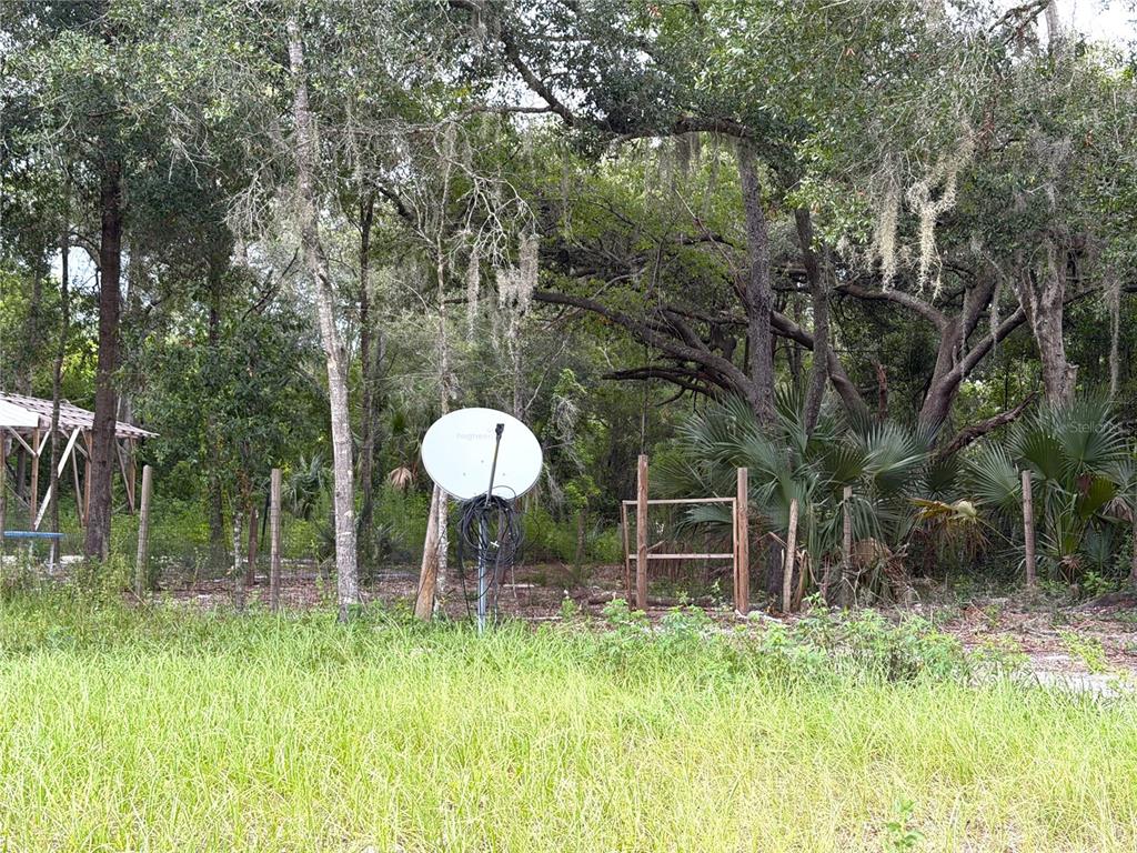 A satellite dish stands in a grassy, wooded lot with a wooden fence and trees — 3255 GOLDEN GEM ROAD, APOPKA, FL