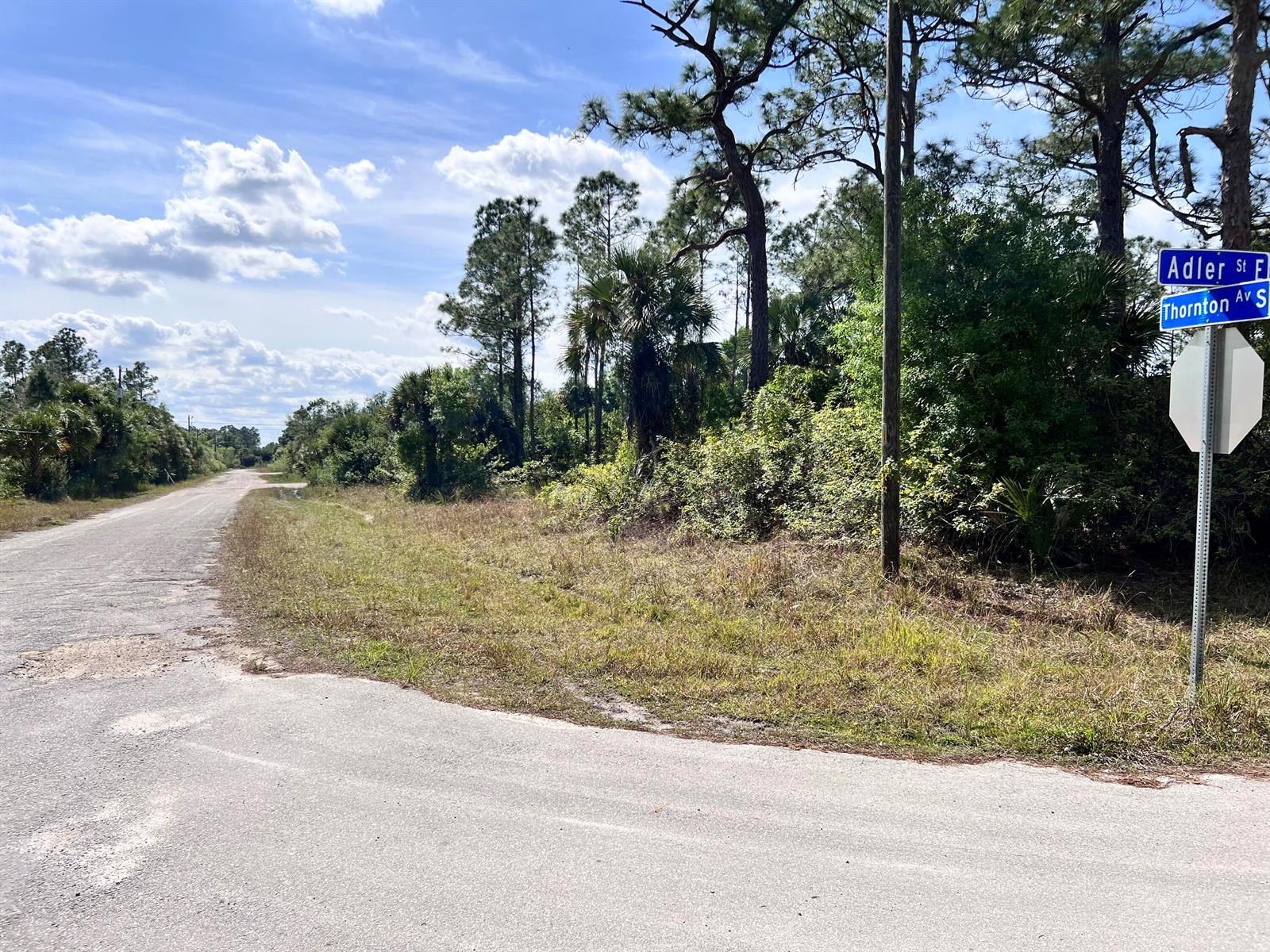 860 Adler Street E, FL 33974