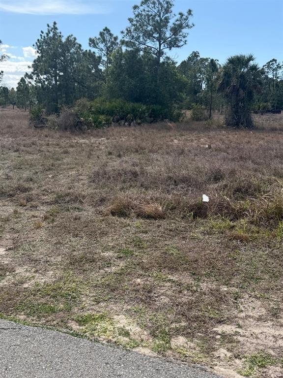A vacant, grassy lot features scattered trees and shrubs under a clear blue sky — 1511 COLUMBUS AVENUE, LEHIGH ACRES, FL