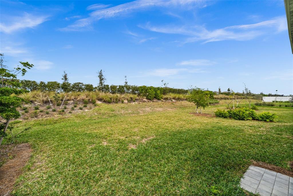 A grassy backyard features a landscaped berm with shrubs and trees under a blue sky — 44259 SADDLEWOOD COURT, PUNTA GORDA, FL