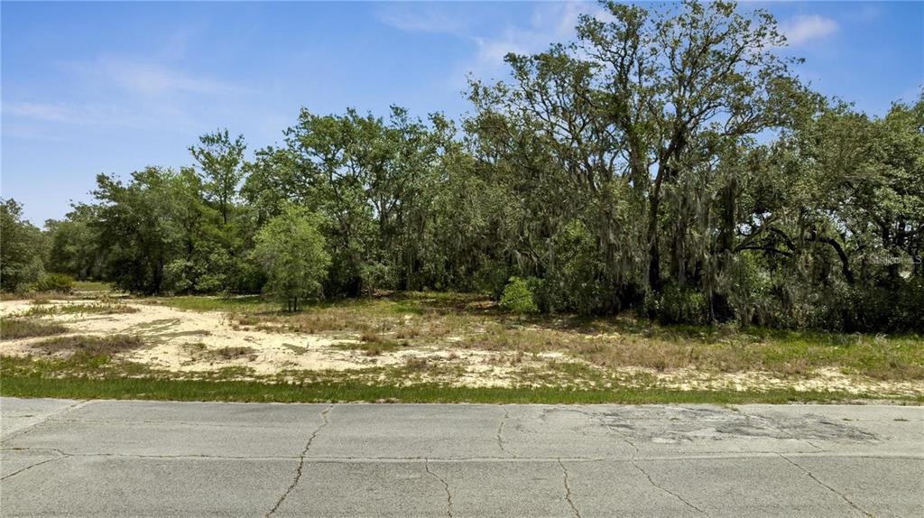 A vacant, sandy lot with scattered trees and vegetation sits behind a cracked asphalt road — 1418 SARASOTA COURT, KISSIMMEE, FL