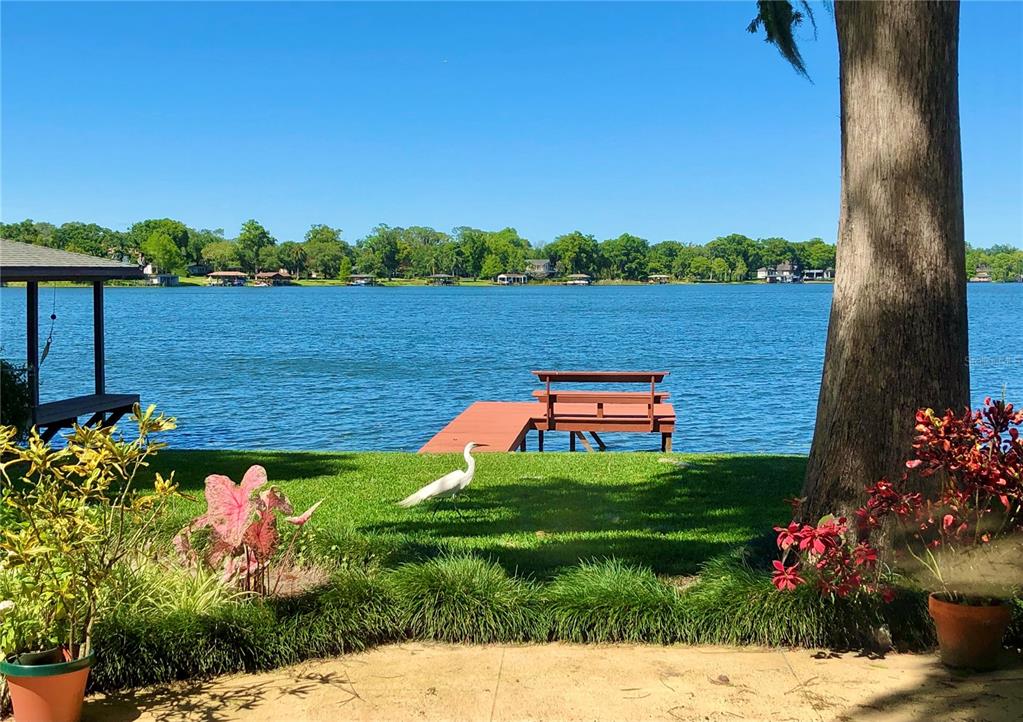 A white egret stands on a grassy lawn overlooking a lake with a wooden dock — 2655 LAKE SHORE DRIVE, ORLANDO, FL