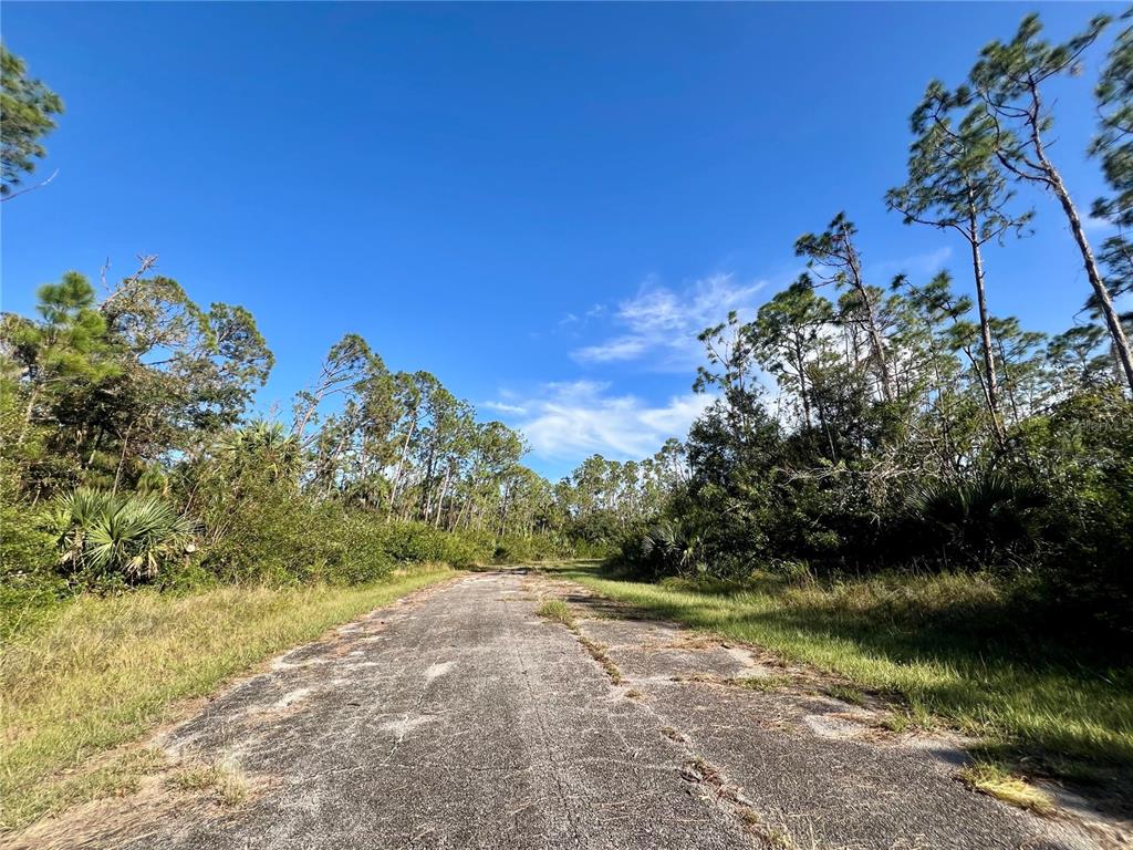 A paved road leads through a wooded area under a clear blue sky — JUBILEE CIRCLE, NORTH PORT, FL