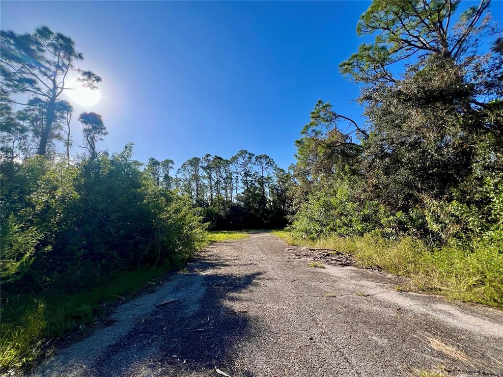 A paved driveway leads toward a wooded area under a bright, sunny sky — JUBILEE CIRCLE, NORTH PORT, FL