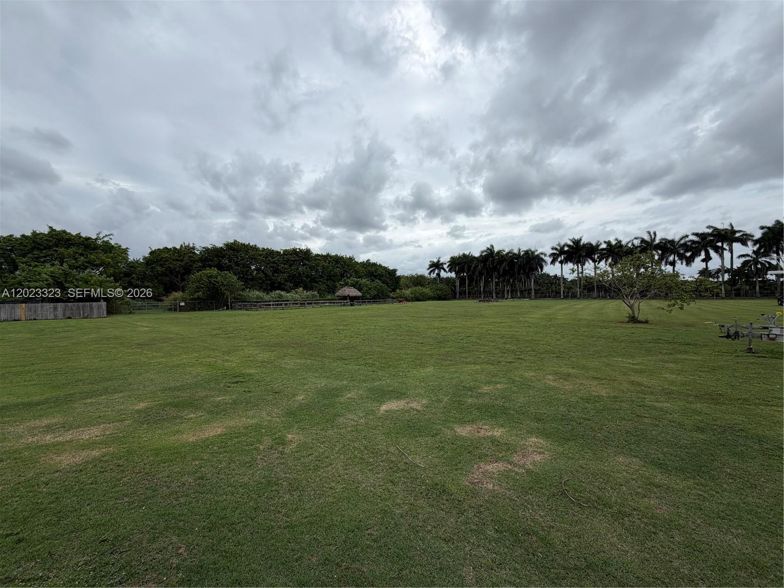 A large, grassy field is bordered by a fence, trees, and a row of palm trees — 19071 SW 197th Ave, Miami FL 33187, MIAMI, FL