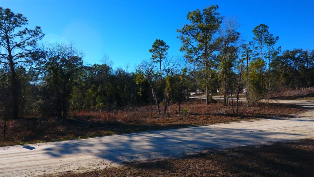 A dirt road curves past a wooded, undeveloped lot under a clear blue sky — 2150 SE 137TH COURT, MORRISTON, FL