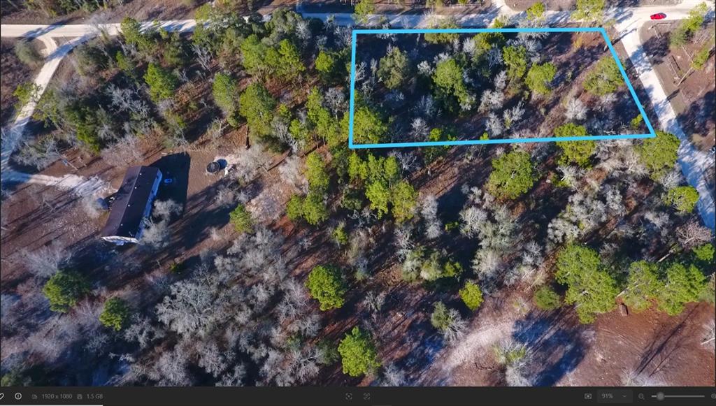 An aerial view shows a wooded lot outlined in blue near a house and roads — 2150 SE 137TH COURT, MORRISTON, FL