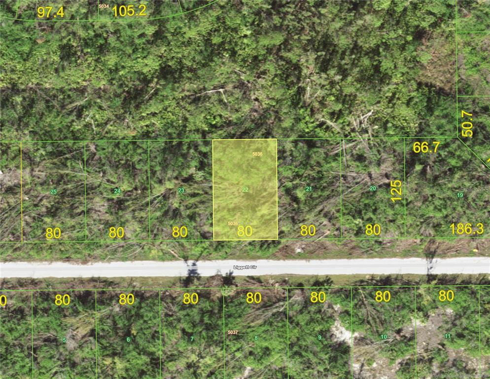 This is an aerial map showing a highlighted rectangular land parcel along a paved road — 16856 LIGGETT CIRCLE, PORT CHARLOTTE, FL