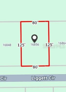 This is a map showing the rectangular dimensions of a property lot — 16856 LIGGETT CIRCLE, PORT CHARLOTTE, FL