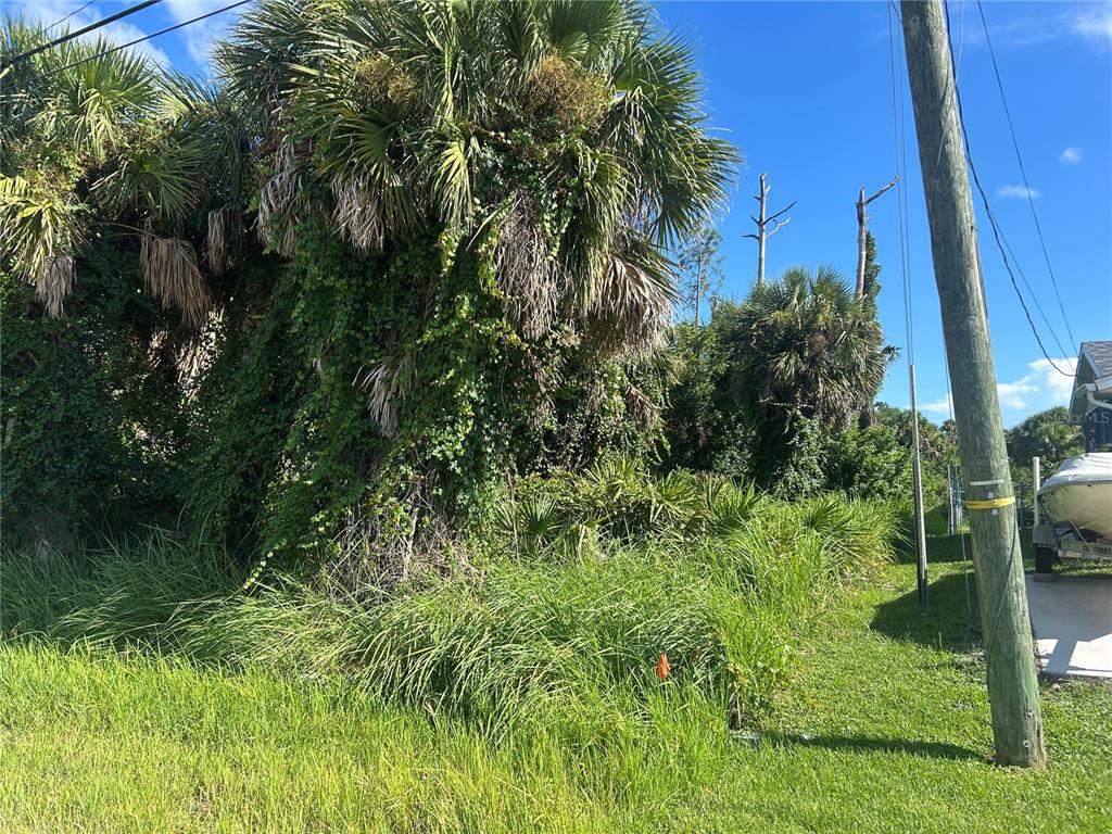 A grassy, overgrown lot features several large palm trees and a utility pole — 9041 FRUITLAND AVENUE, ENGLEWOOD, FL
